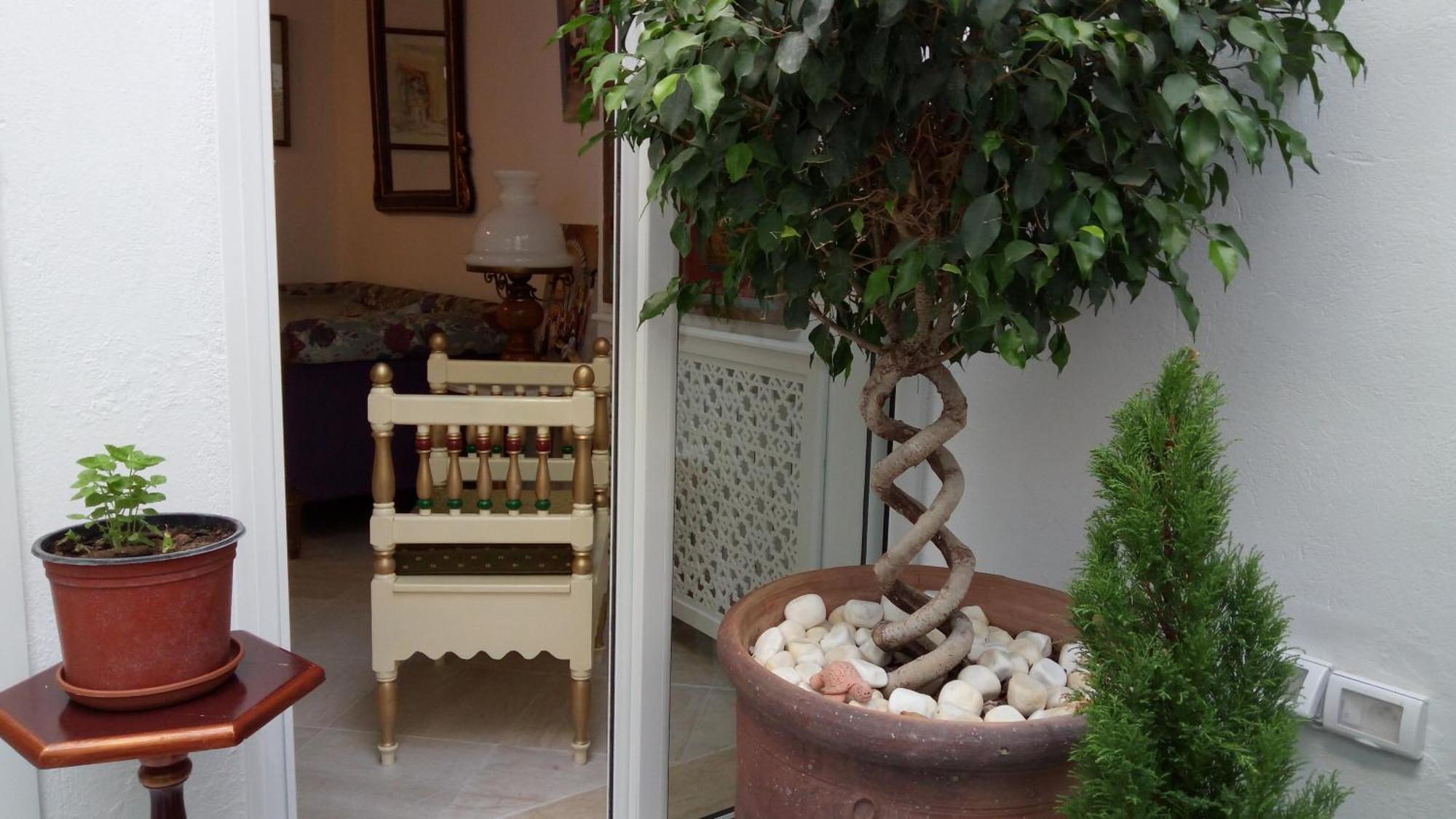 Отель El Patio Courtyard House Тунис Экстерьер фото